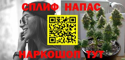 бошки Обь