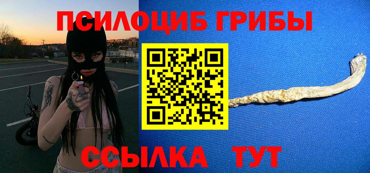 Псилоцибиновые грибы MAGIC MUSHROOMS  Псилоцибиновые грибы Magic Shrooms  Сосновоборск  Вход с VPN 